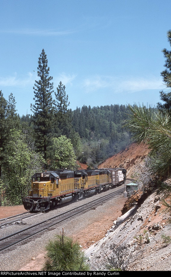 UP 3197 East on SP Donner Pass